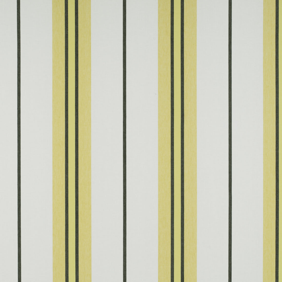 Burano fabric in onyx/amarillo color - pattern GDT5310.001.0 - by Gaston y Daniela in the Tierras collection