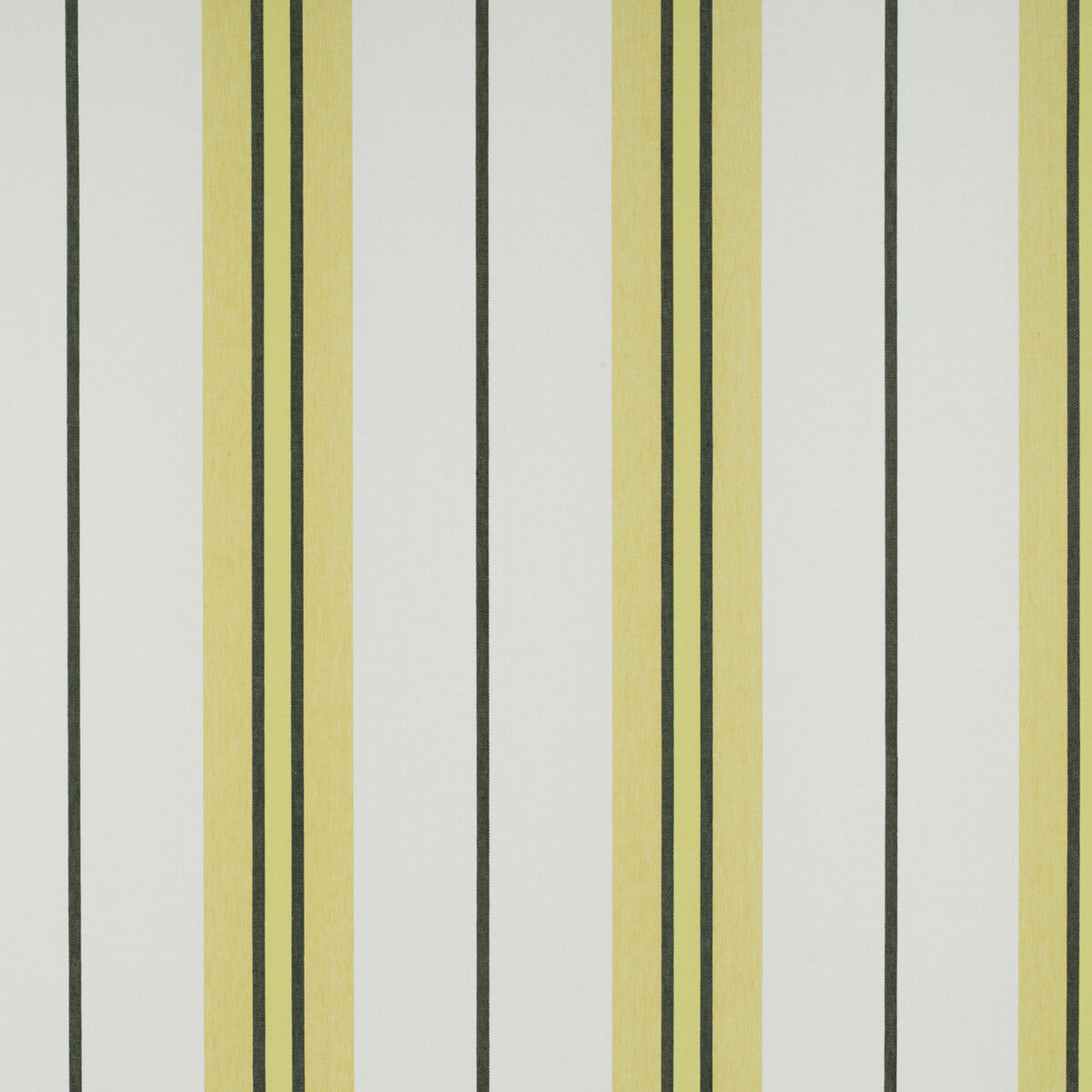 Burano fabric in onyx/amarillo color - pattern GDT5310.001.0 - by Gaston y Daniela in the Tierras collection