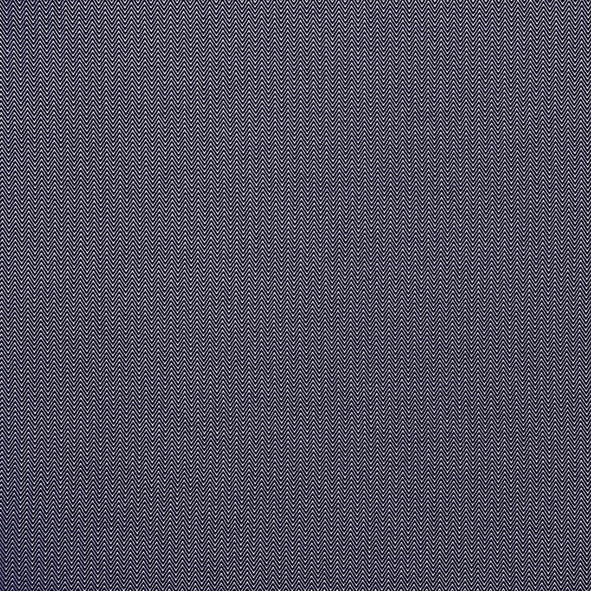 Donald fabric in navy color - pattern GDT5384.3.0 - by Gaston y Daniela in the Gaston Africalia collection