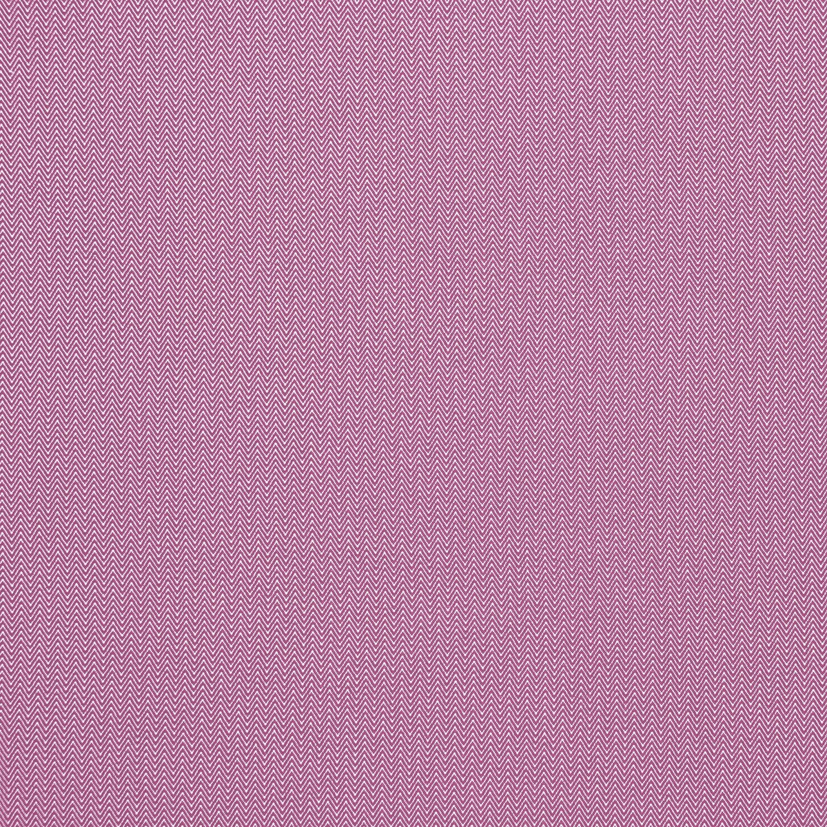 Donald fabric in frambuesa color - pattern GDT5384.4.0 - by Gaston y Daniela in the Gaston Africalia collection