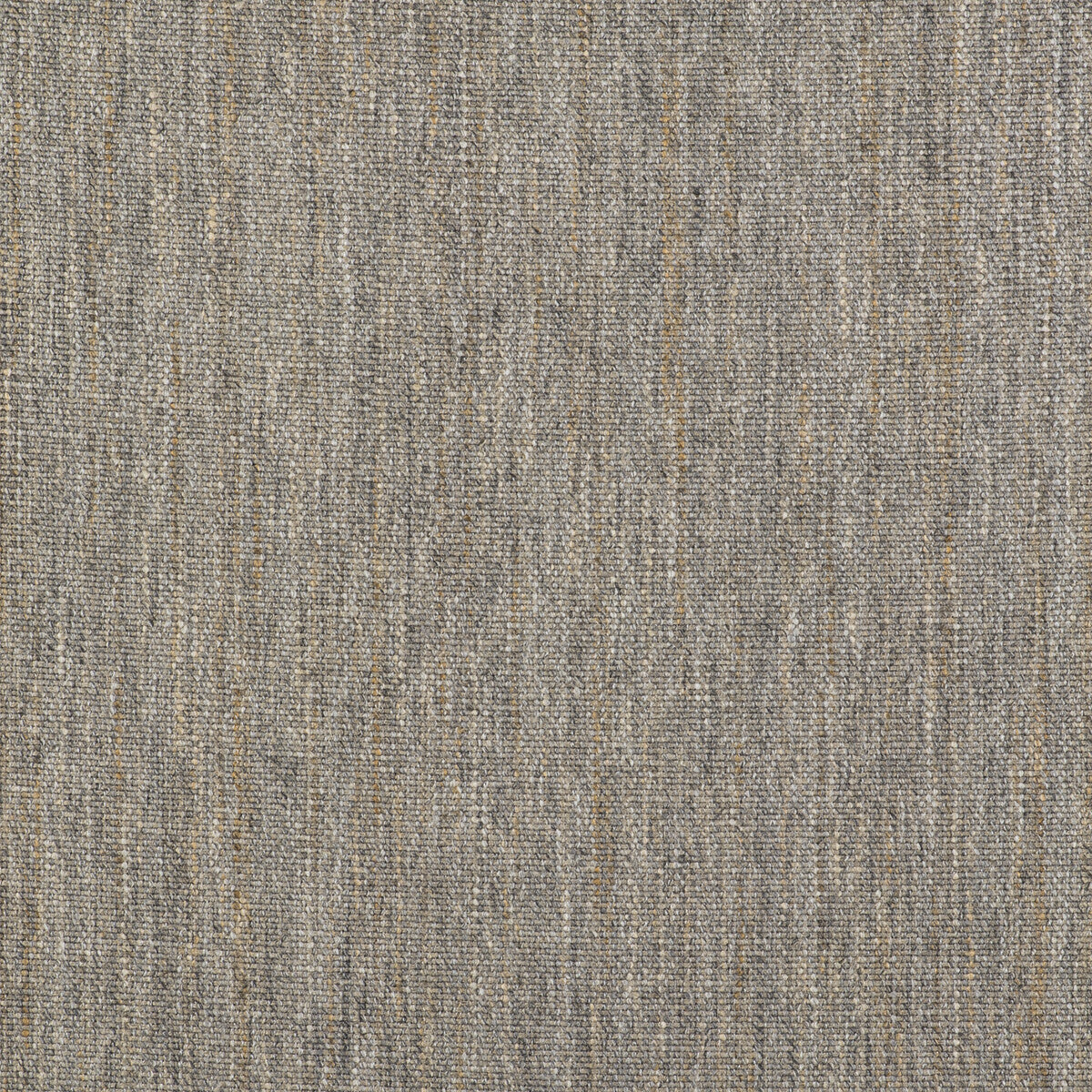 Sauce fabric in gris perla color - pattern GDT5495.001.0 - by Gaston y Daniela in the Gaston Libreria collection