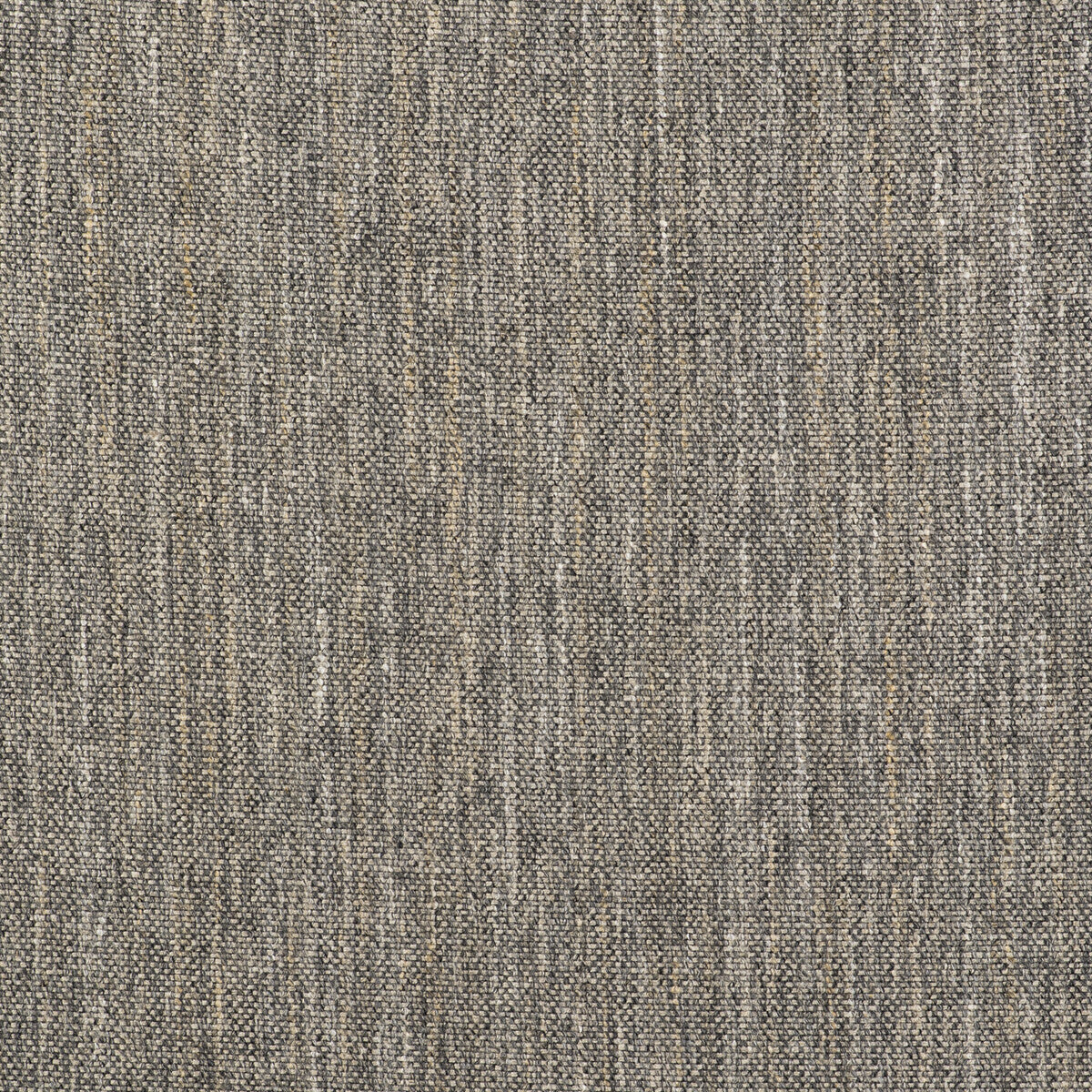 Sauce fabric in gris color - pattern GDT5495.002.0 - by Gaston y Daniela in the Gaston Libreria collection