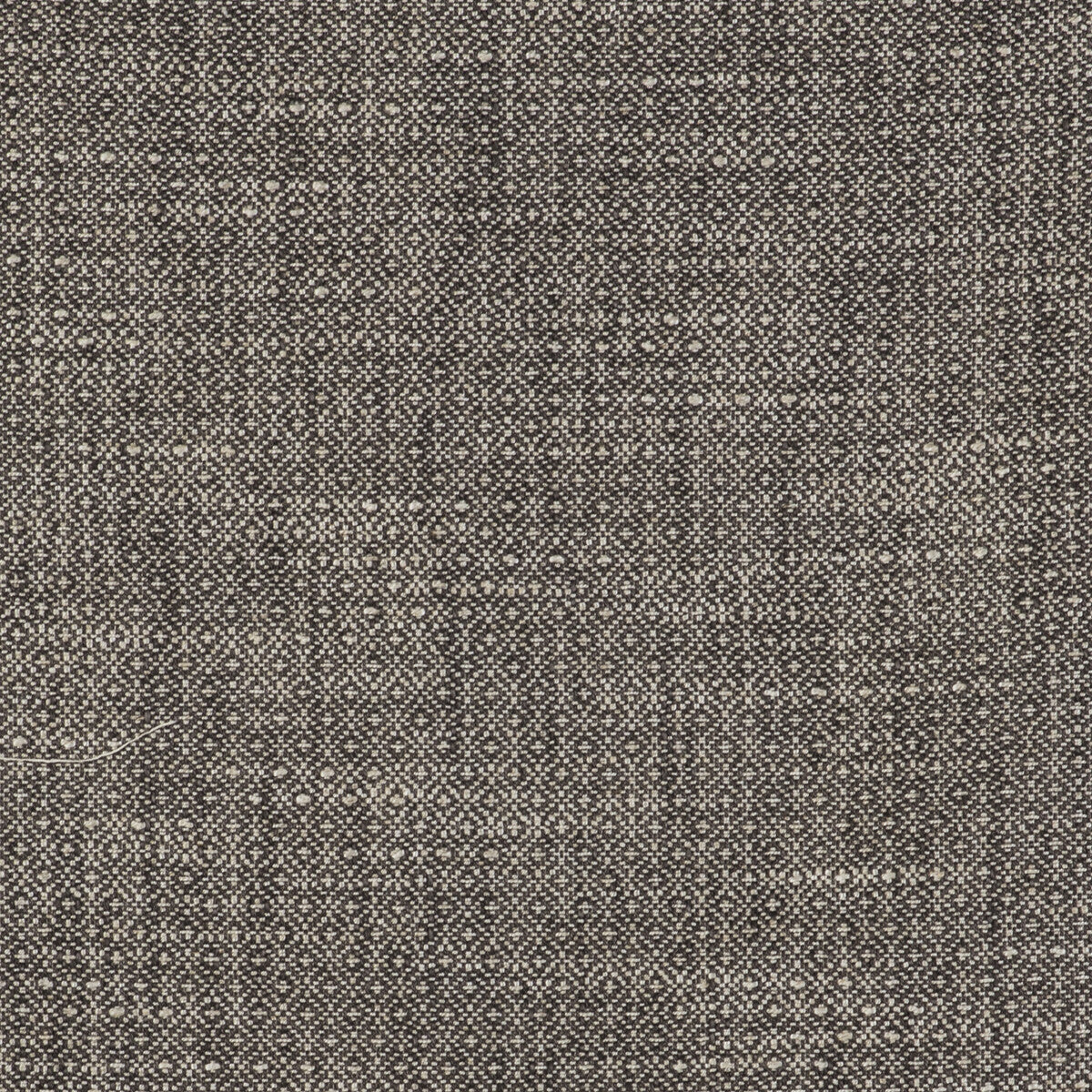Kf Gyd fabric - pattern GDT5517.002.0 - by Gaston y Daniela in the Gaston Libreria collection