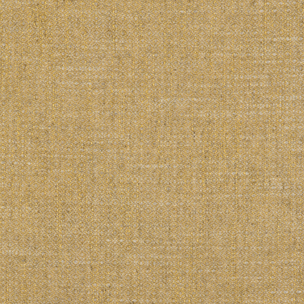 Semilla fabric in oro color - pattern GDT5517.005.0 - by Gaston y Daniela in the Gaston Libreria collection