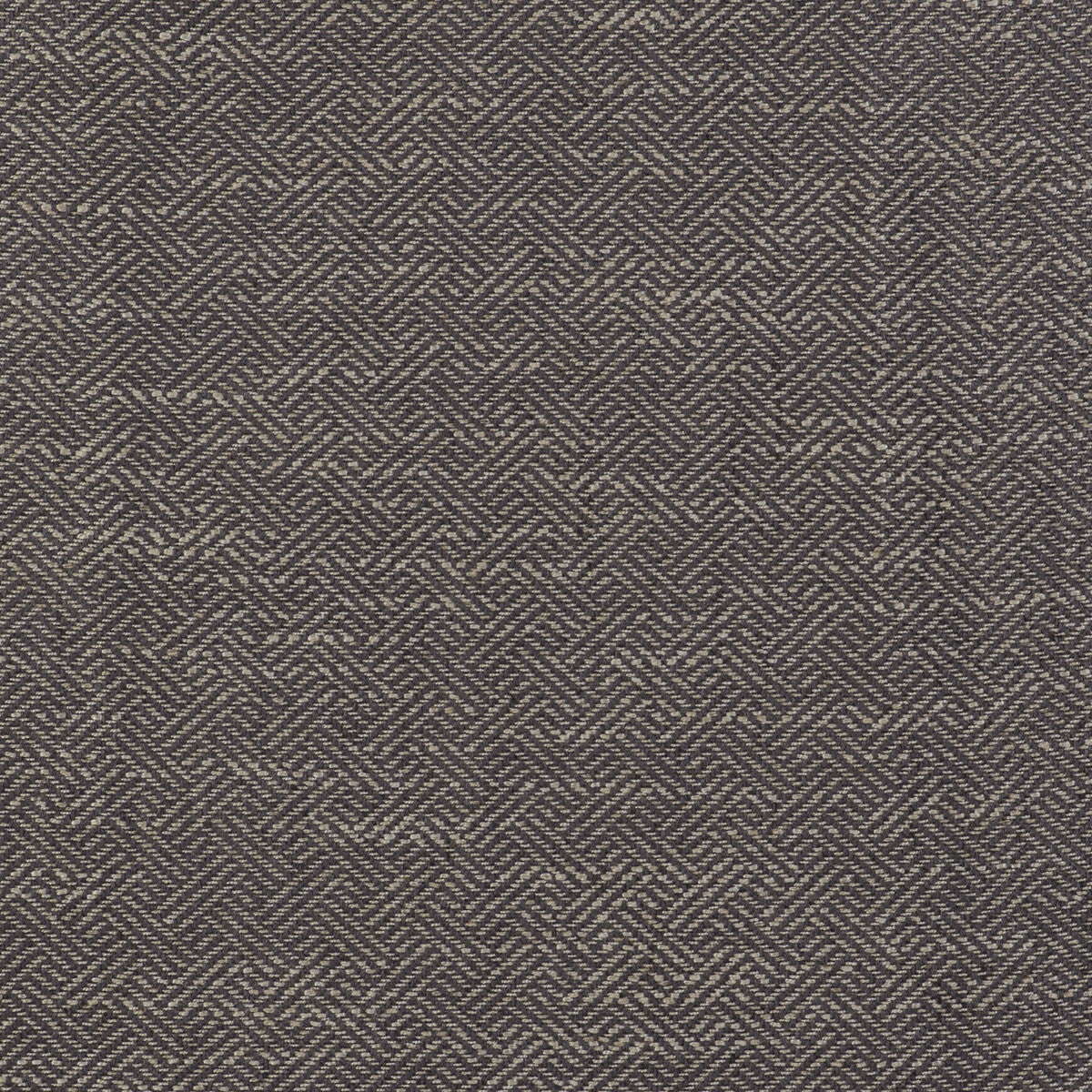 Enea fabric in gris color - pattern GDT5518.003.0 - by Gaston y Daniela in the Gaston Libreria collection
