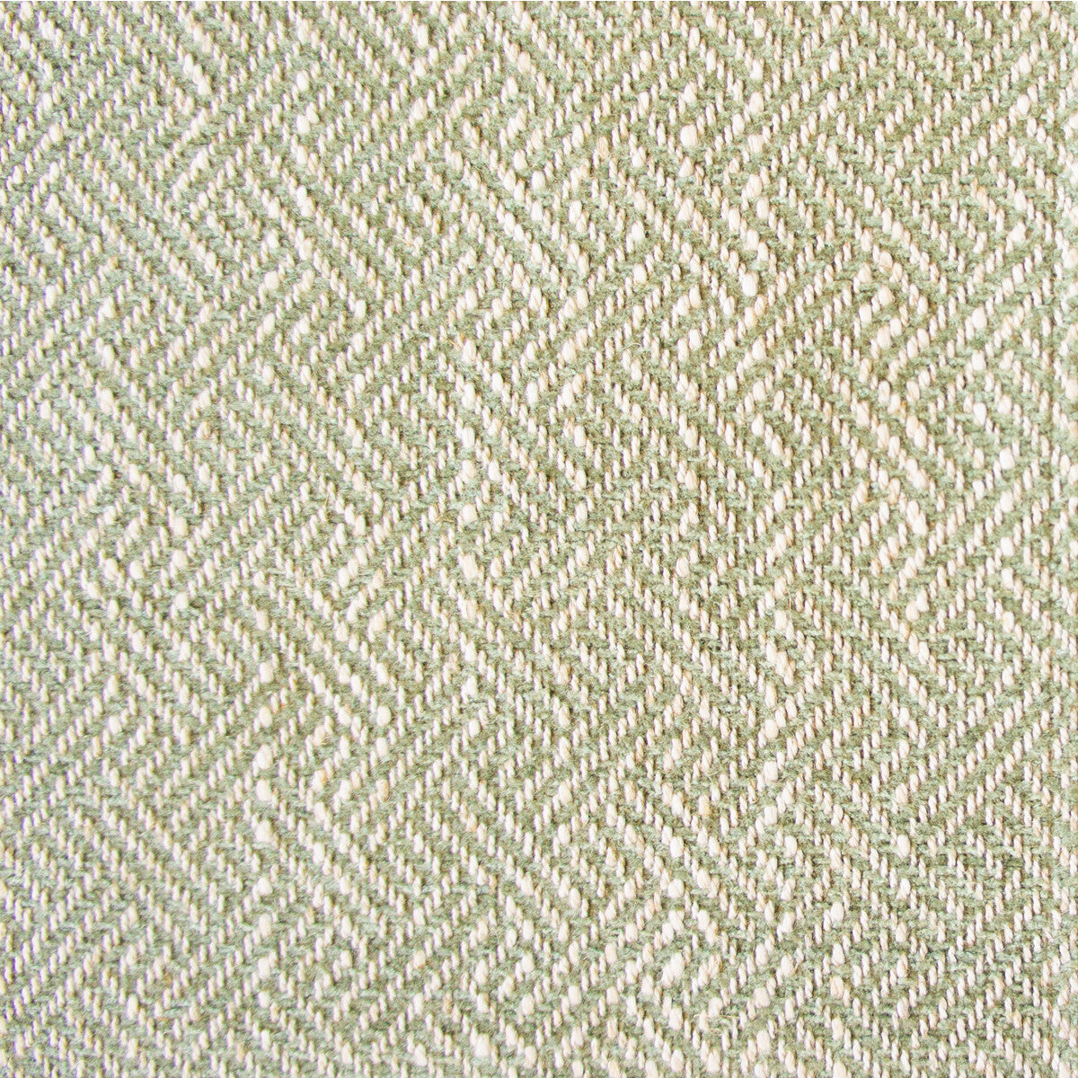 Enea fabric in verde claro color - pattern GDT5518.006.0 - by Gaston y Daniela in the Gaston Libreria collection