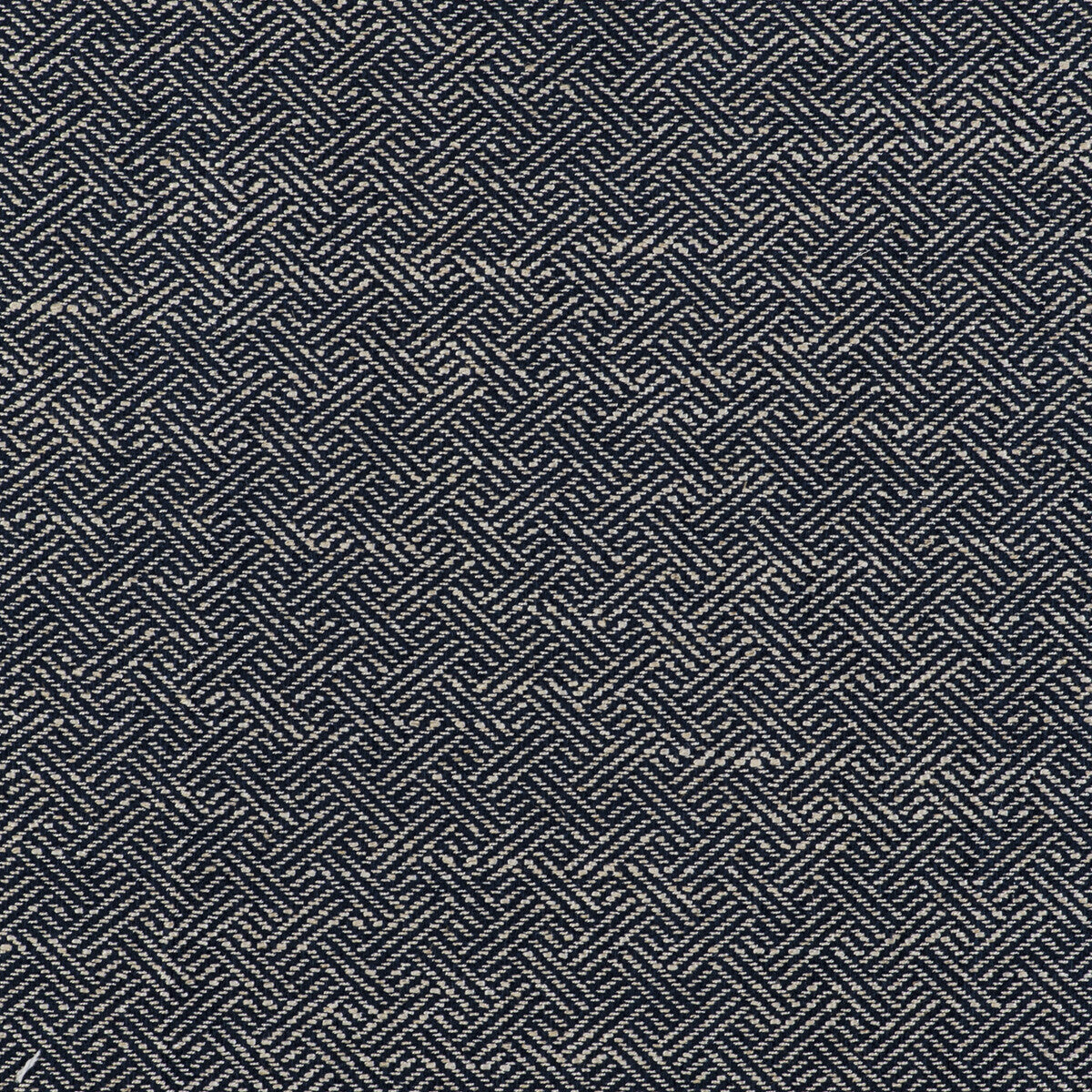 Enea fabric in navy color - pattern GDT5518.011.0 - by Gaston y Daniela in the Gaston Libreria collection