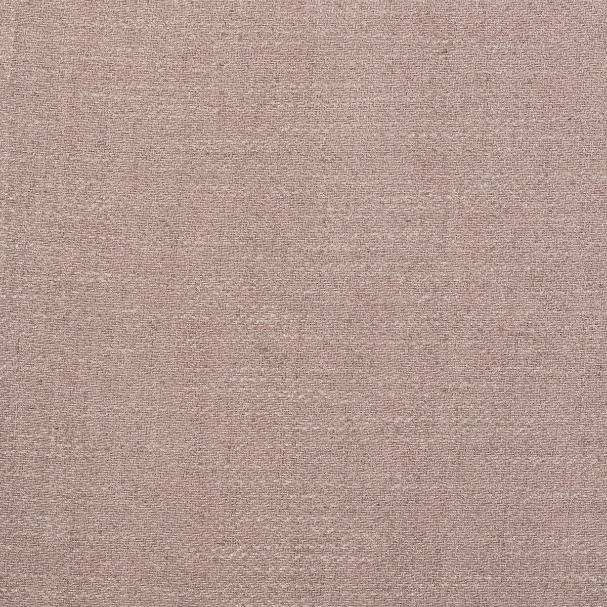 Enea fabric in rosa color - pattern GDT5518.012.0 - by Gaston y Daniela in the Gaston Libreria collection