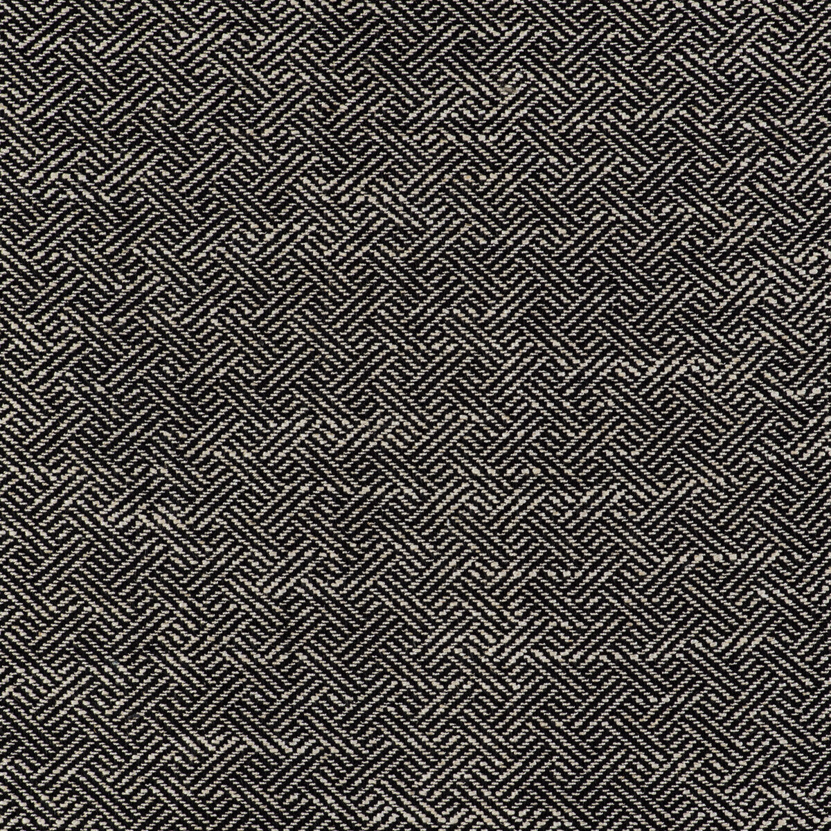 Enea fabric in negro color - pattern GDT5518.015.0 - by Gaston y Daniela in the Gaston Libreria collection