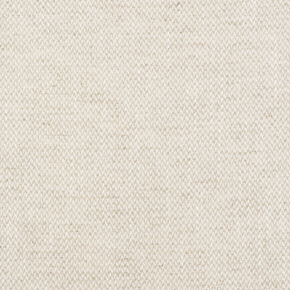 Acacia fabric in crudo color - pattern GDT5519.001.0 - by Gaston y Daniela in the Gaston Libreria collection