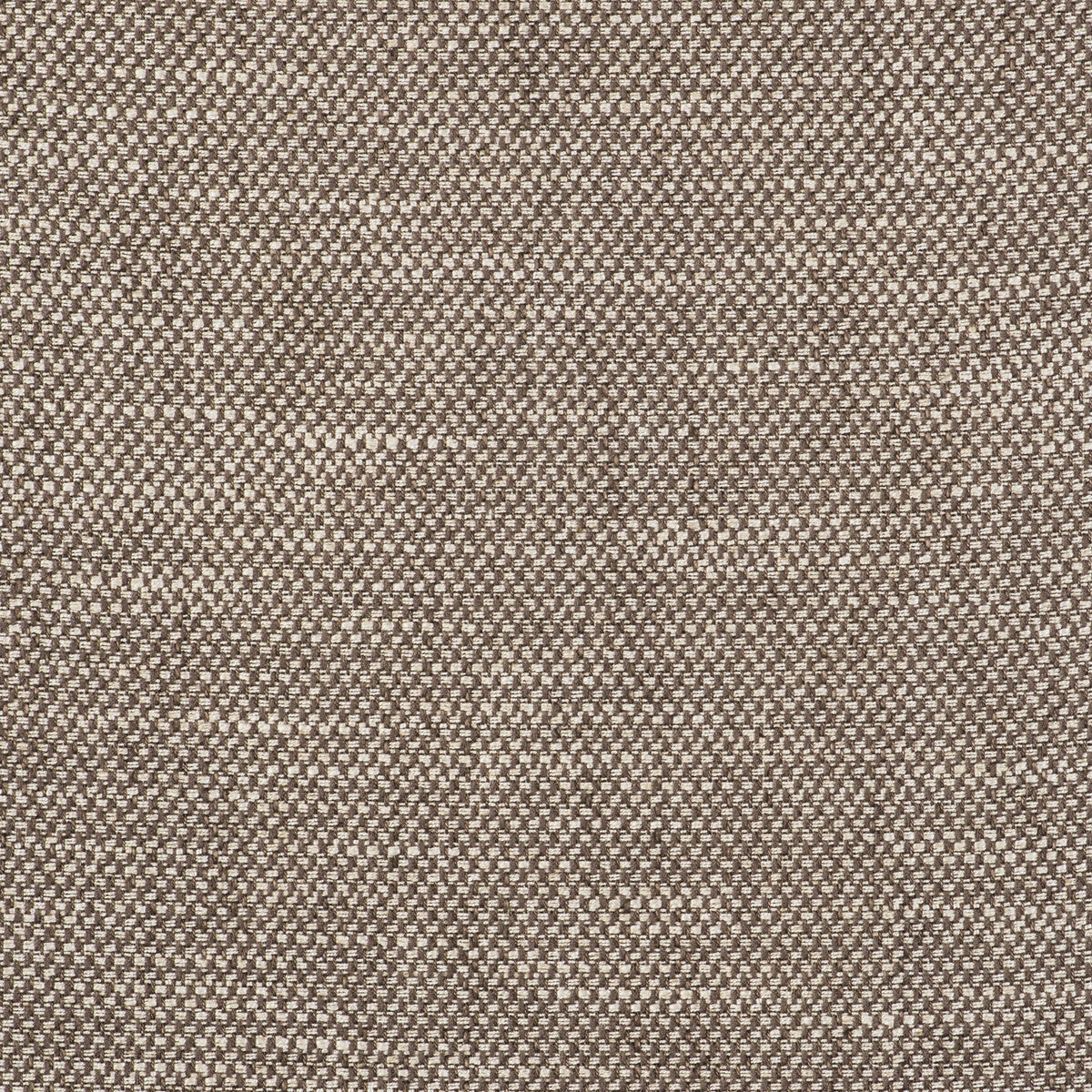 Acacia fabric in tostado color - pattern GDT5519.002.0 - by Gaston y Daniela in the Gaston Libreria collection