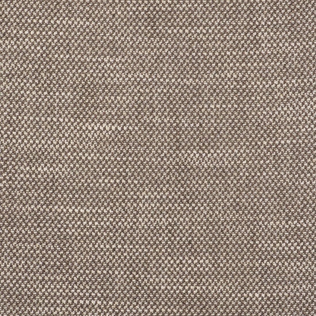 Acacia fabric in tostado color - pattern GDT5519.002.0 - by Gaston y Daniela in the Gaston Libreria collection