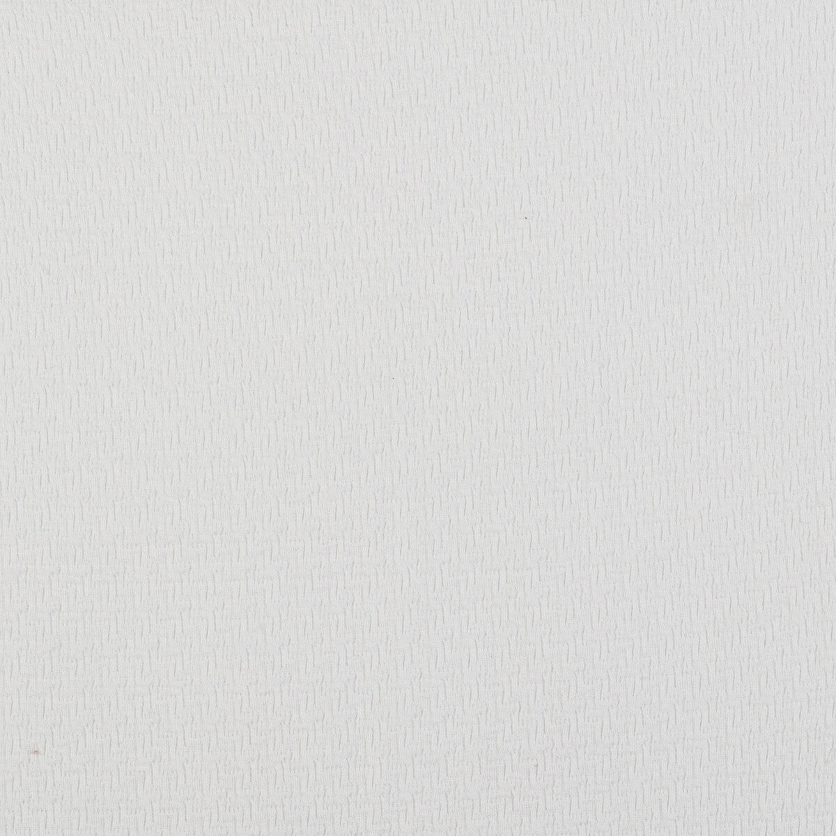 Nogal fabric in blanco color - pattern GDT5522.001.0 - by Gaston y Daniela in the Gaston Libreria collection