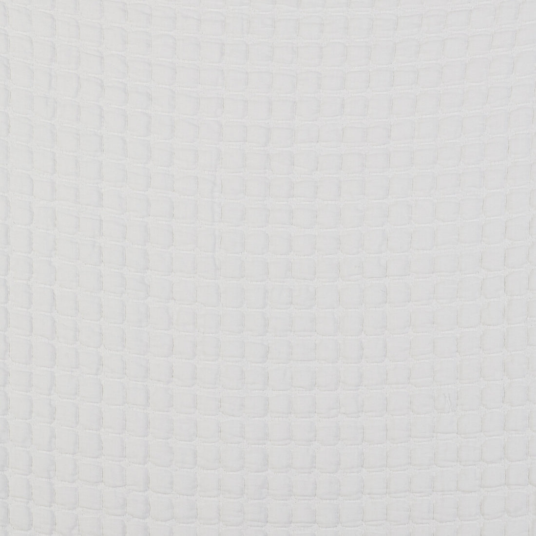 Morera fabric in blanco color - pattern GDT5523.001.0 - by Gaston y Daniela in the Gaston Libreria collection
