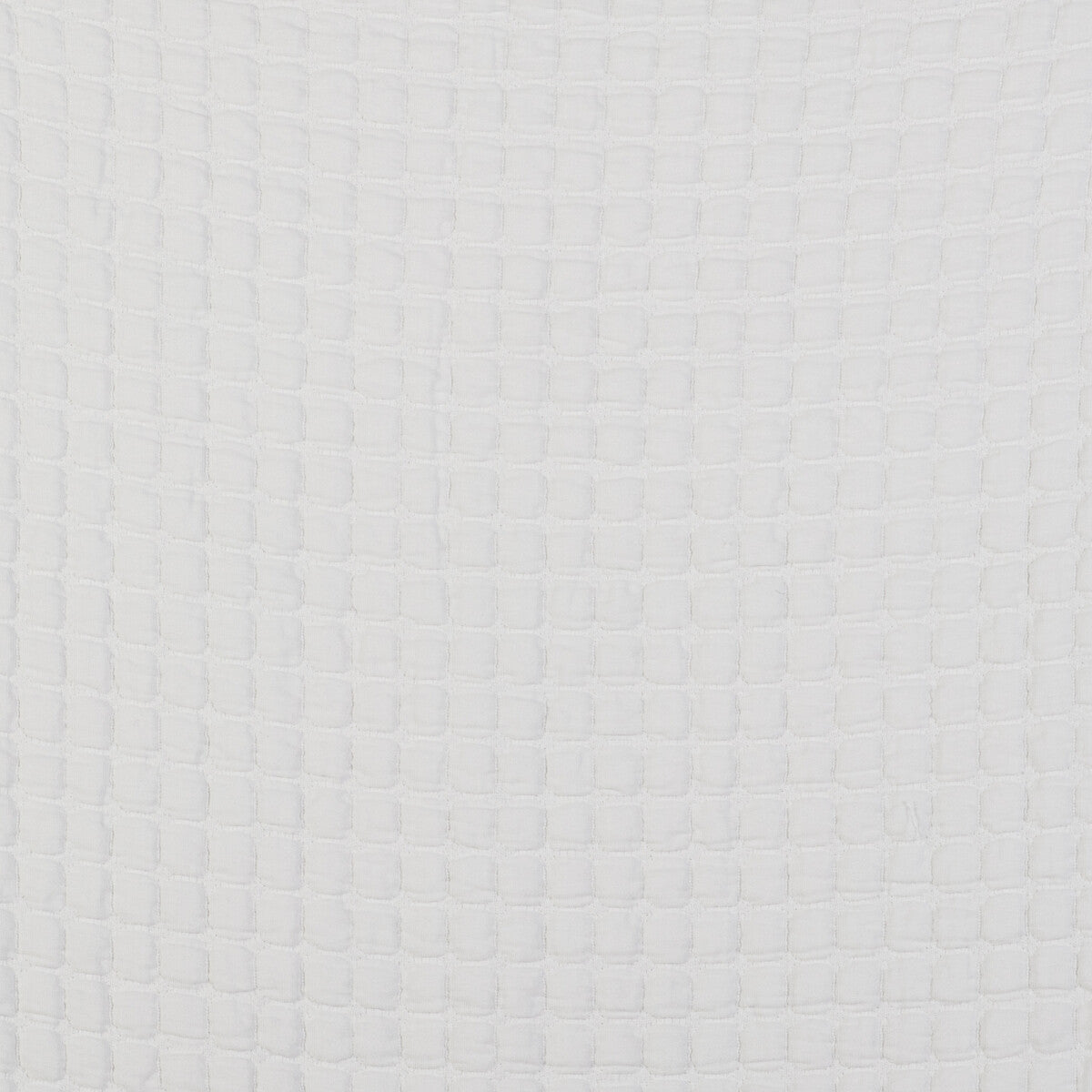 Morera fabric in blanco color - pattern GDT5523.001.0 - by Gaston y Daniela in the Gaston Libreria collection