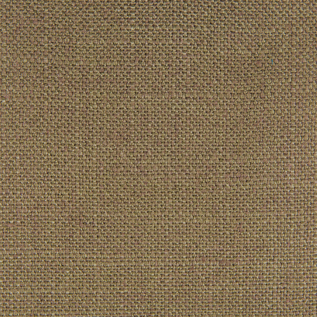Peru fabric in kaki color - pattern GDT5548.011.0 - by Gaston y Daniela in the Gaston Nuevo Mundo collection