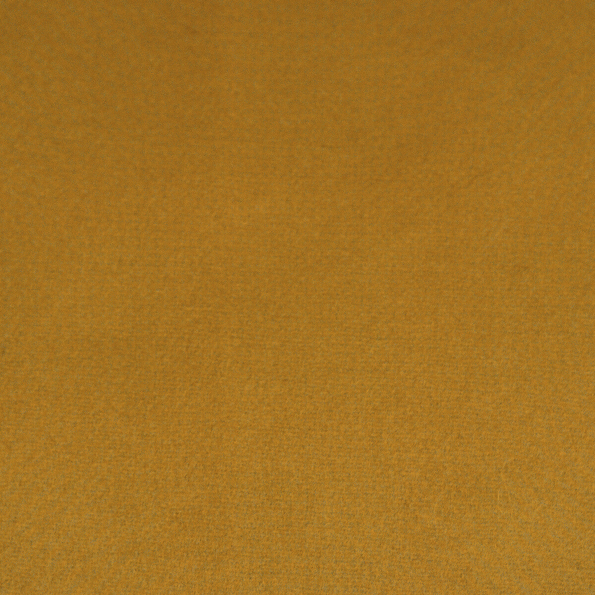 Denver fabric in mostaza color - pattern GDT5582.005.0 - by Gaston y Daniela in the Gaston Luis Bustamante collection