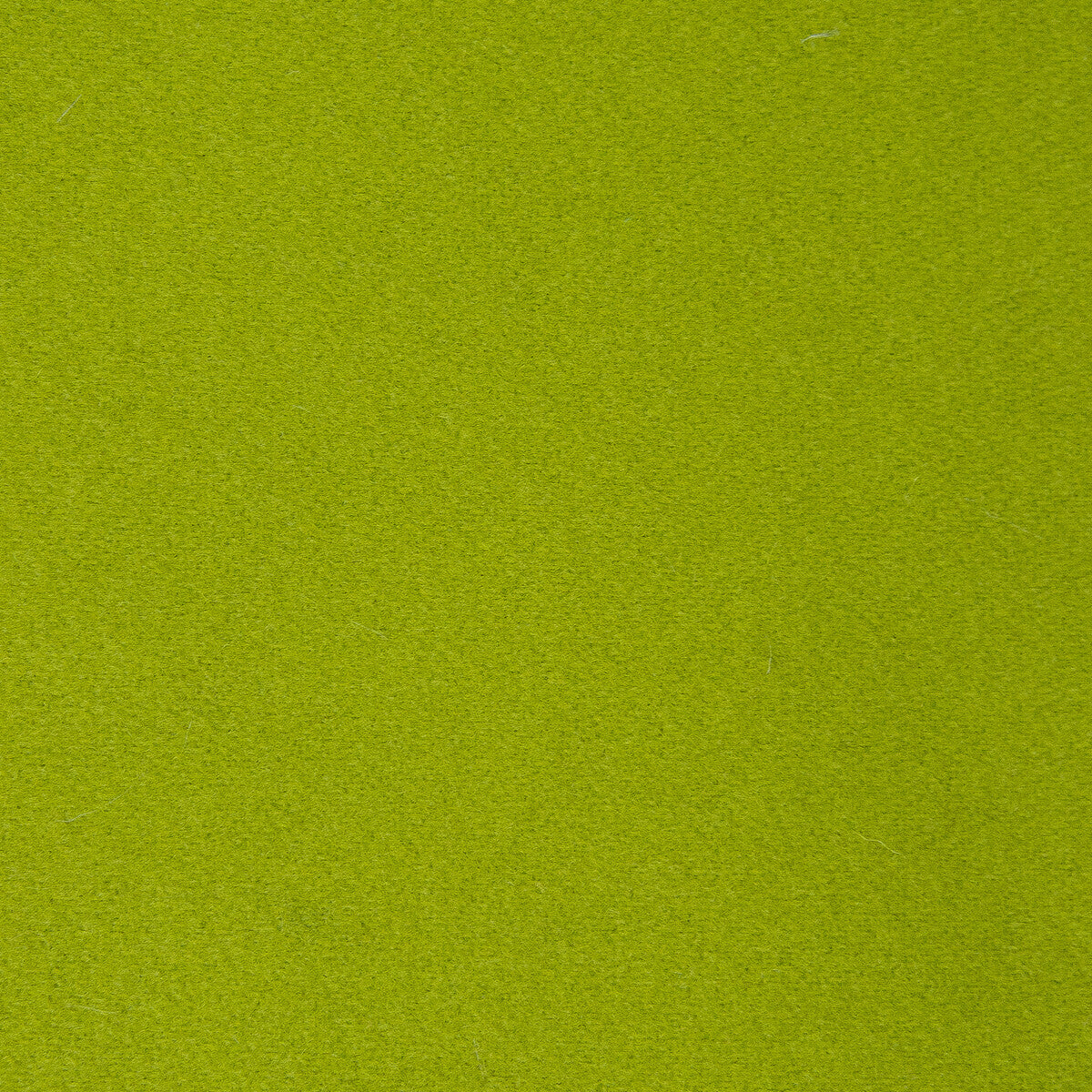 Denver fabric in verde color - pattern GDT5582.006.0 - by Gaston y Daniela in the Gaston Luis Bustamante collection