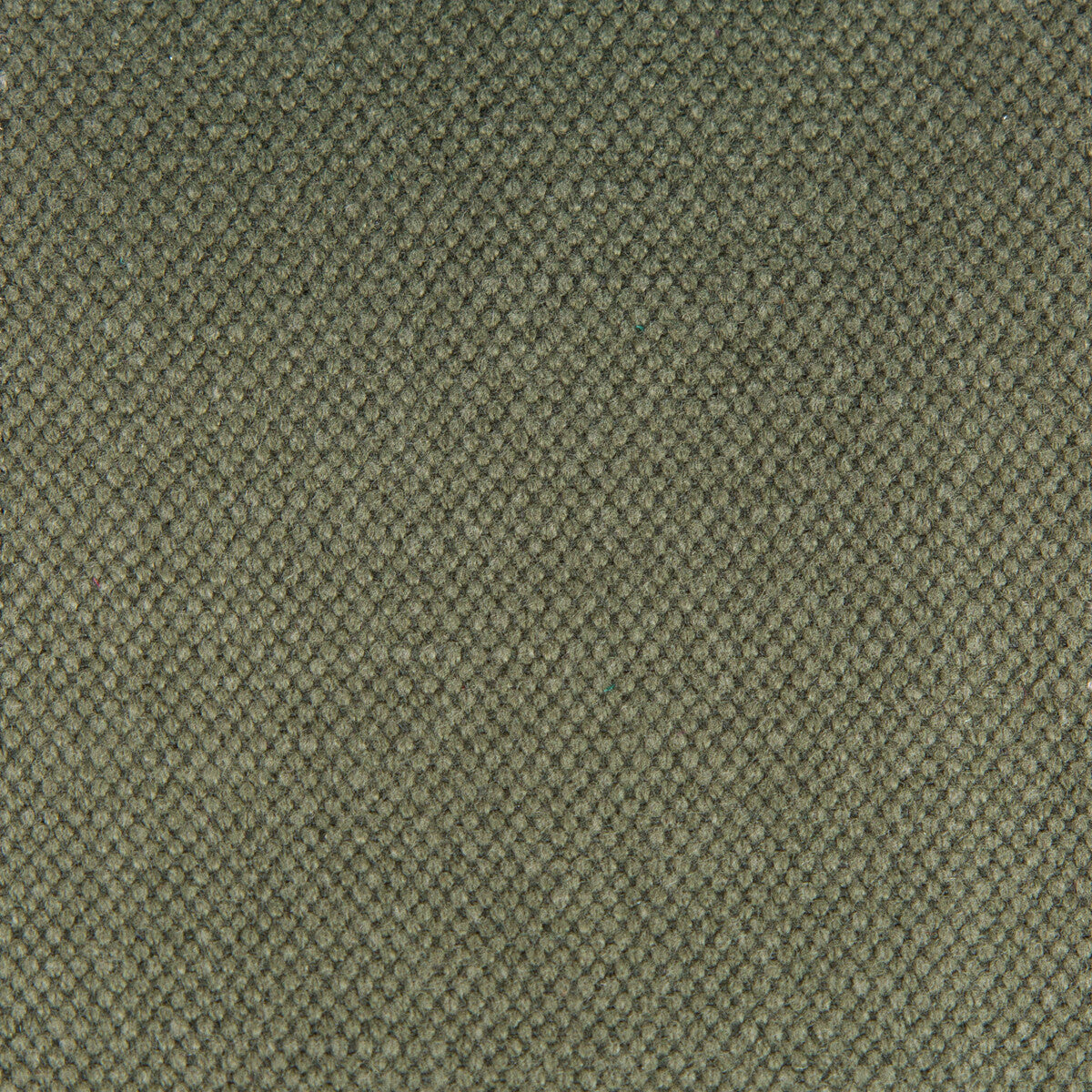 Lima fabric in kaki color - pattern GDT5616.031.0 - by Gaston y Daniela in the Gaston Nuevo Mundo collection
