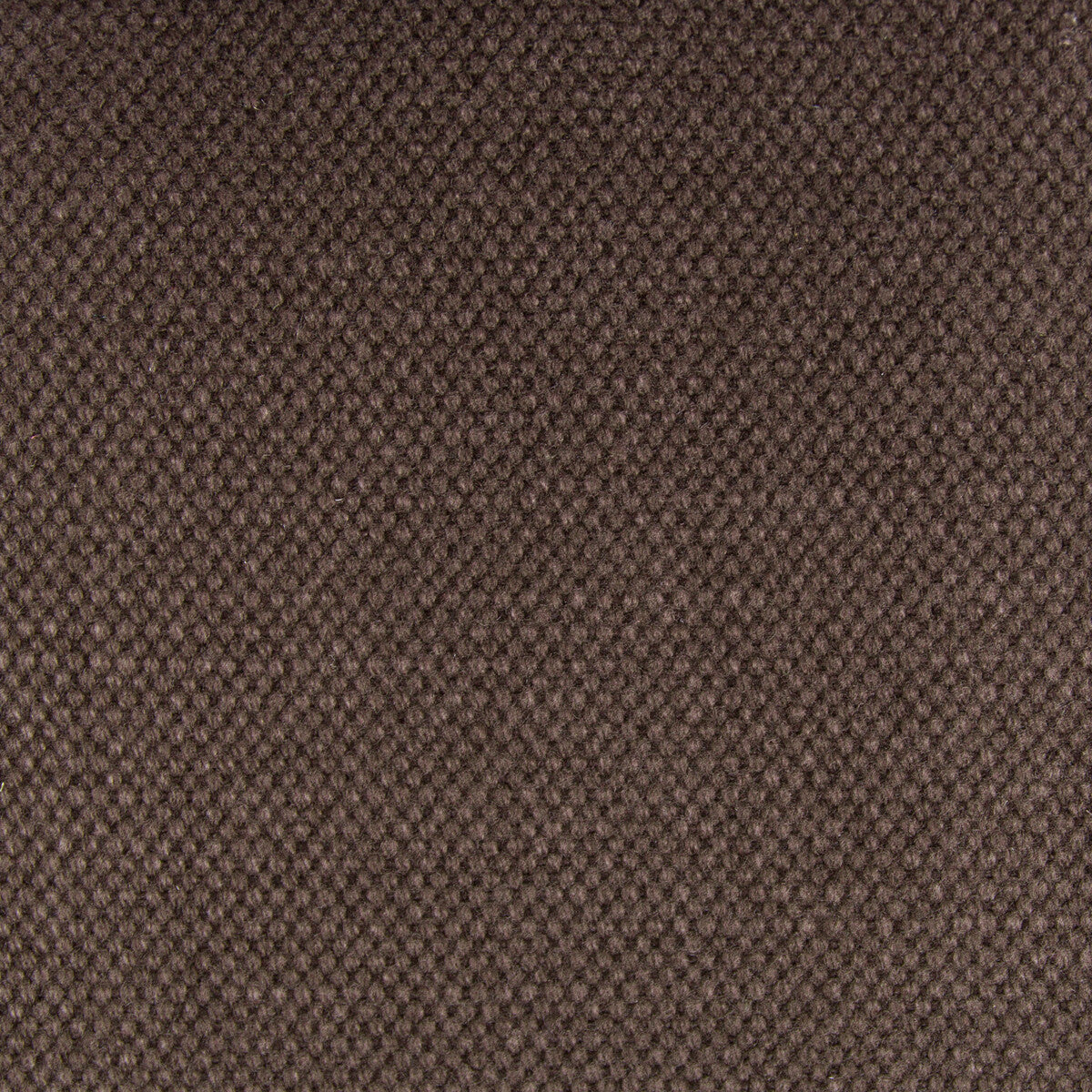 Lima fabric in chocolate color - pattern GDT5616.040.0 - by Gaston y Daniela in the Gaston Nuevo Mundo collection