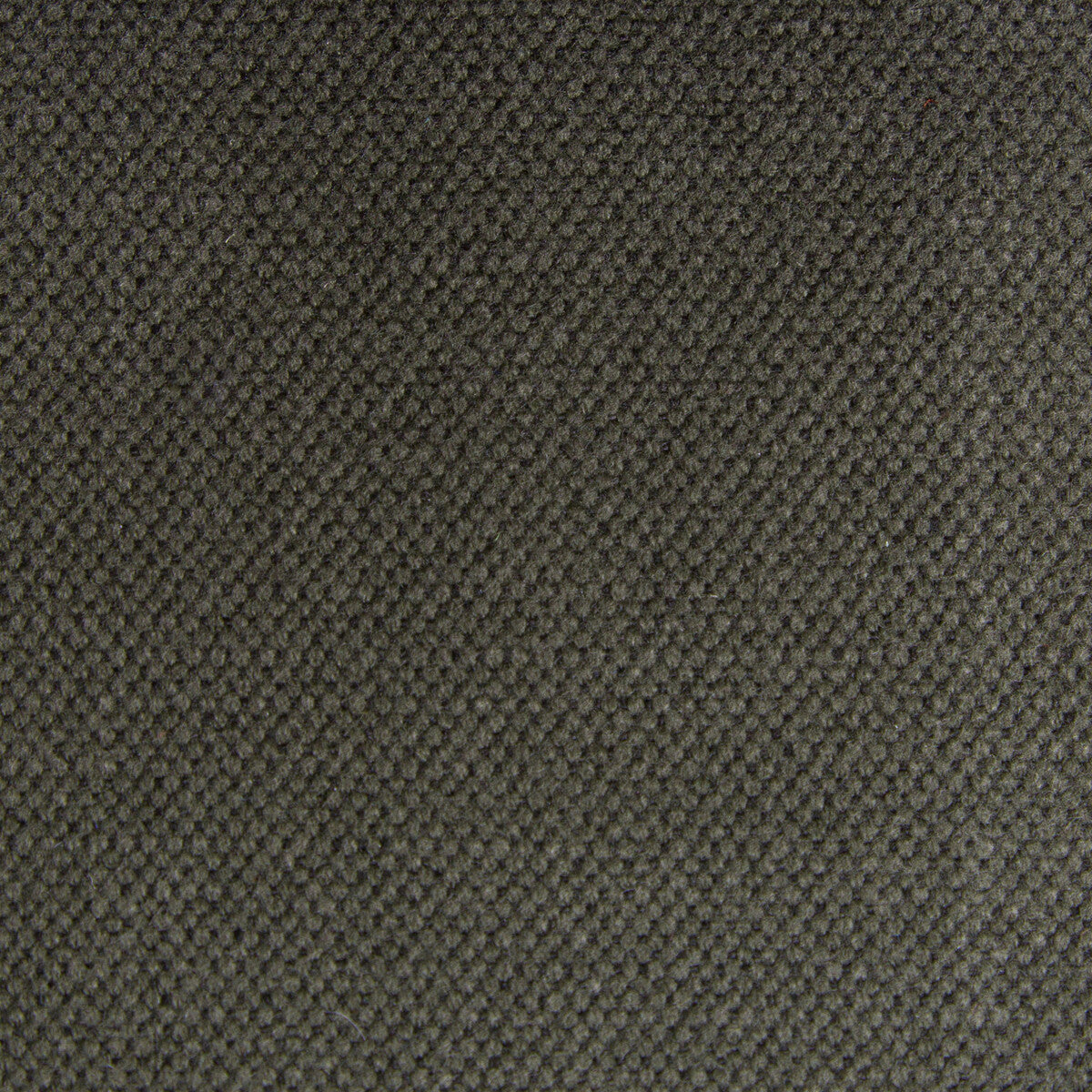 Lima fabric in musgo color - pattern GDT5616.043.0 - by Gaston y Daniela in the Gaston Nuevo Mundo collection