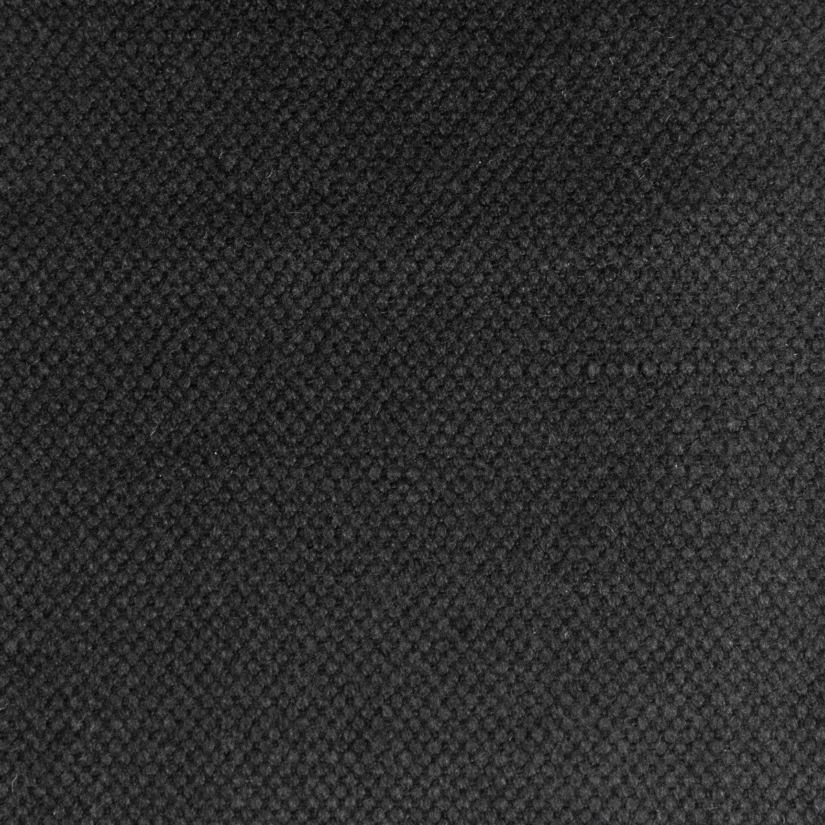 Lima fabric in black color - pattern GDT5616.044.0 - by Gaston y Daniela in the Gaston Nuevo Mundo collection