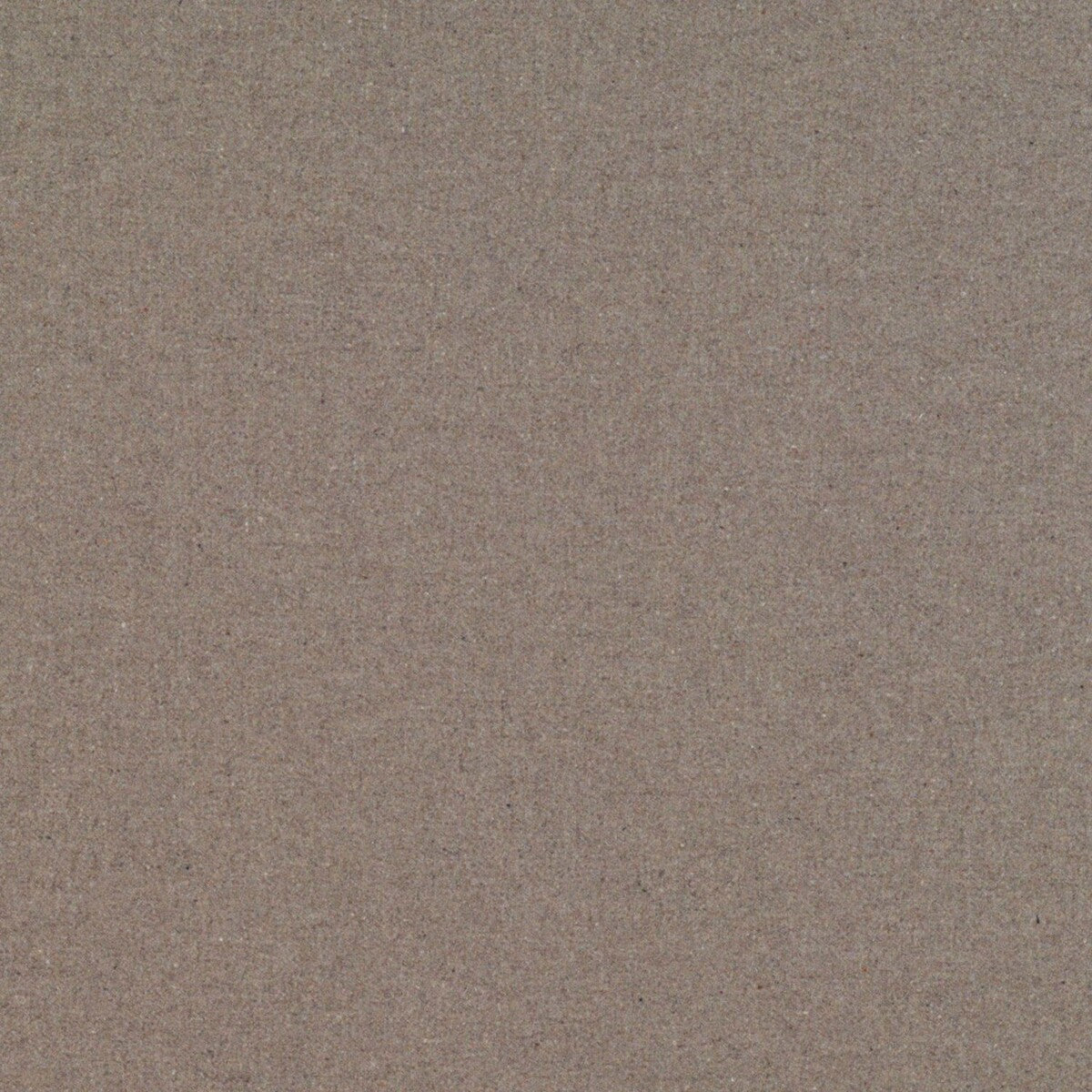 Wayne fabric in tostado color - pattern GDT5658.002.0 - by Gaston y Daniela in the Gaston Rio Grande collection