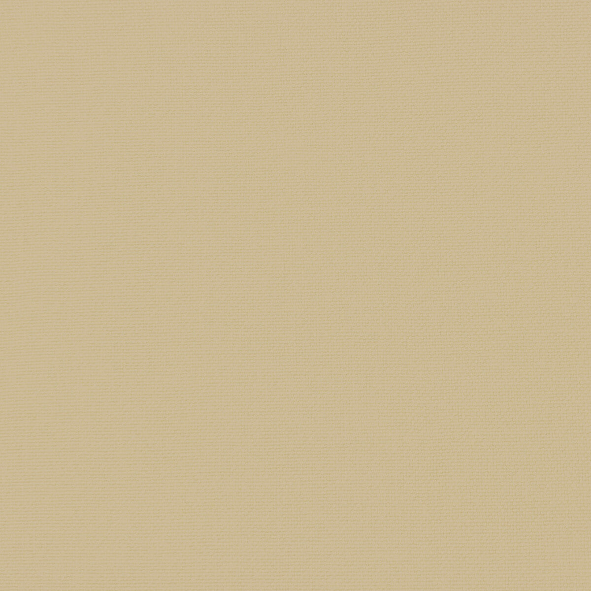 Palma fabric in tostado color - pattern GDT5688.006.0 - by Gaston y Daniela in the Gaston Maiorica collection