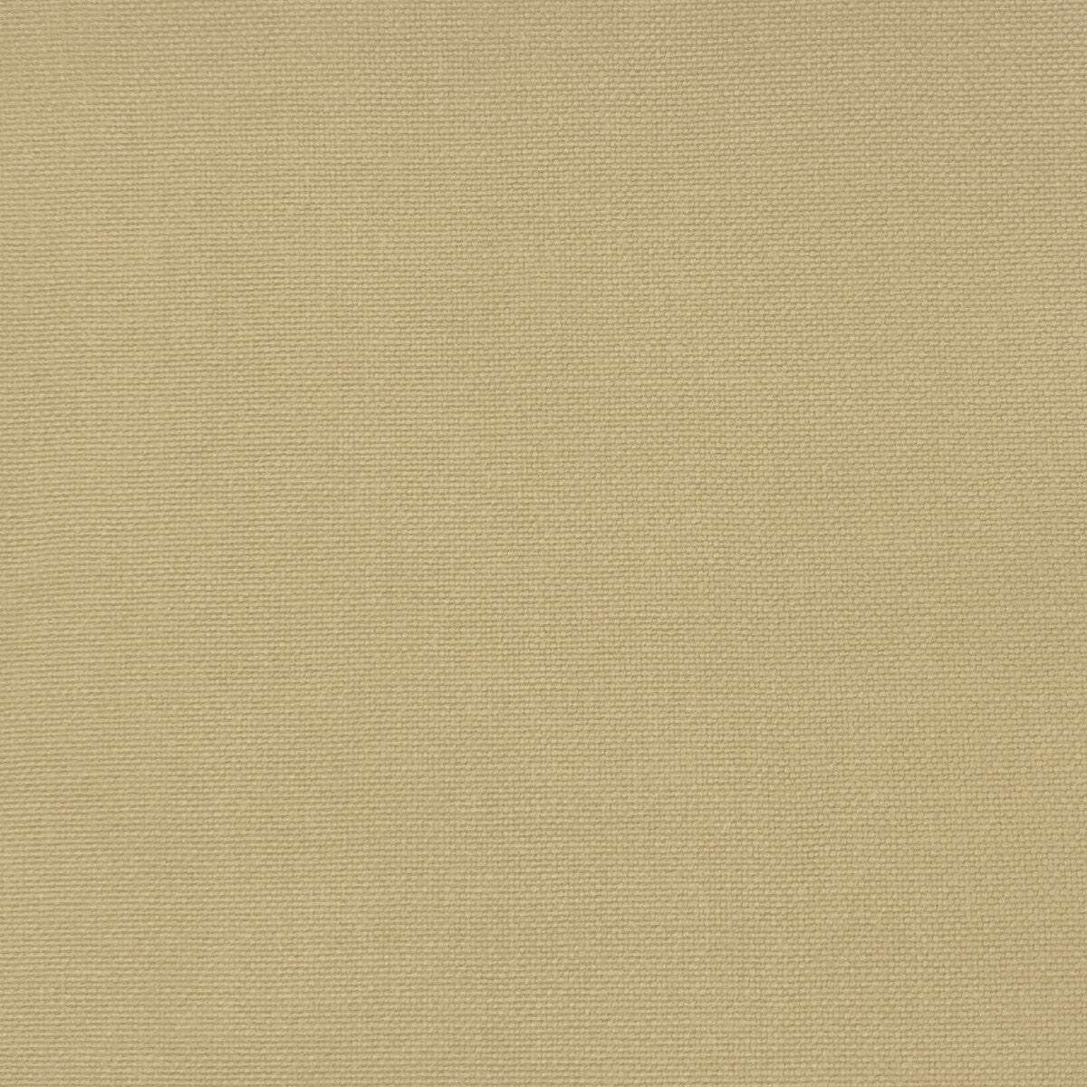 Palma fabric in cuerda color - pattern GDT5688.010.0 - by Gaston y Daniela in the Gaston Maiorica collection