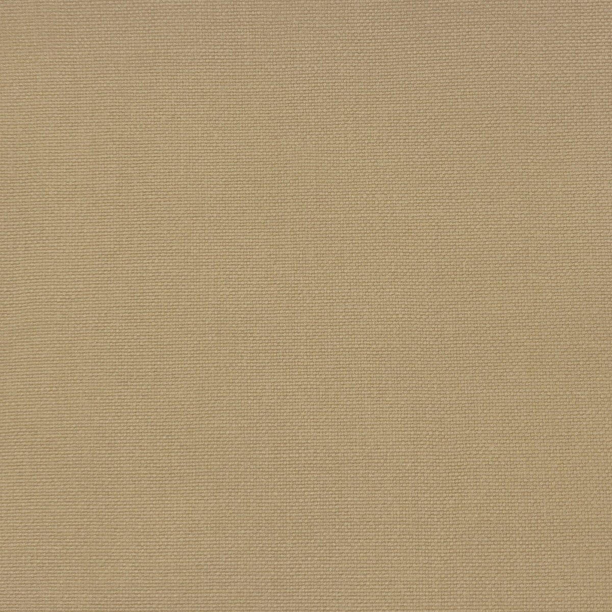 Palma fabric in tierra color - pattern GDT5688.011.0 - by Gaston y Daniela in the Gaston Maiorica collection