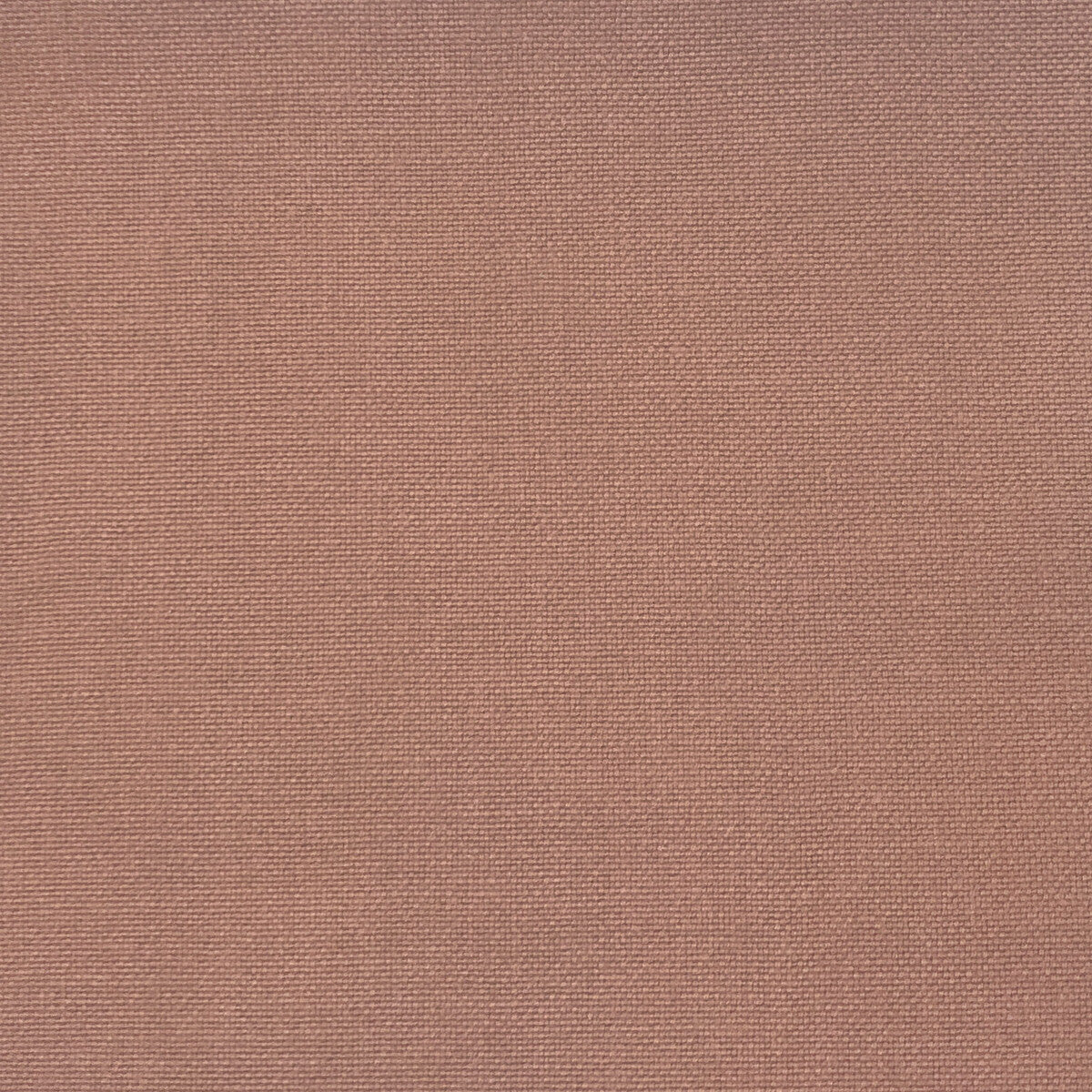 Palma fabric in rosa viejo color - pattern GDT5688.016.0 - by Gaston y Daniela in the Gaston Maiorica collection