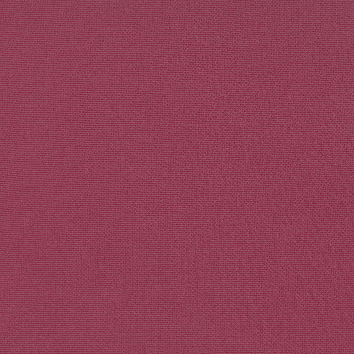 Palma fabric in frambuesa color - pattern GDT5688.028.0 - by Gaston y Daniela in the Gaston Maiorica collection