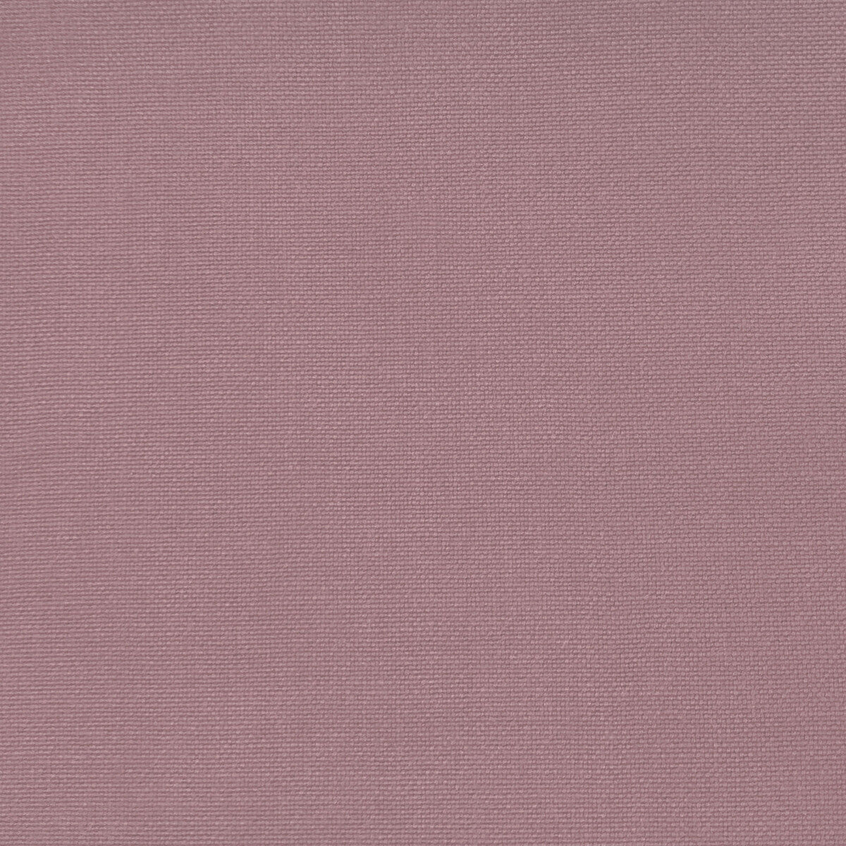 Palma fabric in rosa color - pattern GDT5688.033.0 - by Gaston y Daniela in the Gaston Maiorica collection