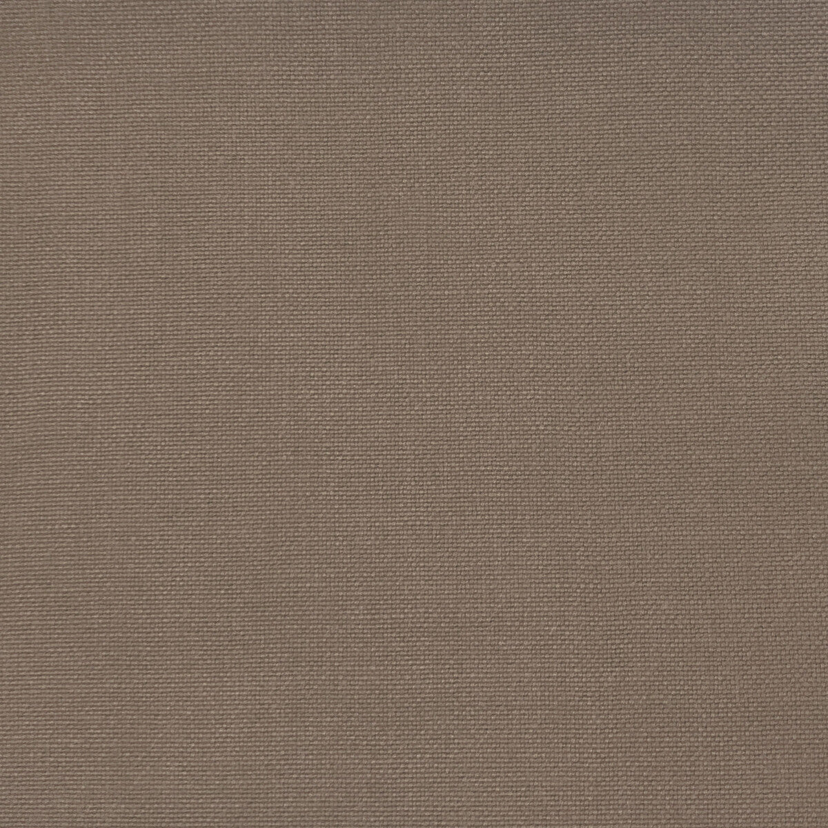 Palma fabric in corcho color - pattern GDT5688.034.0 - by Gaston y Daniela in the Gaston Maiorica collection