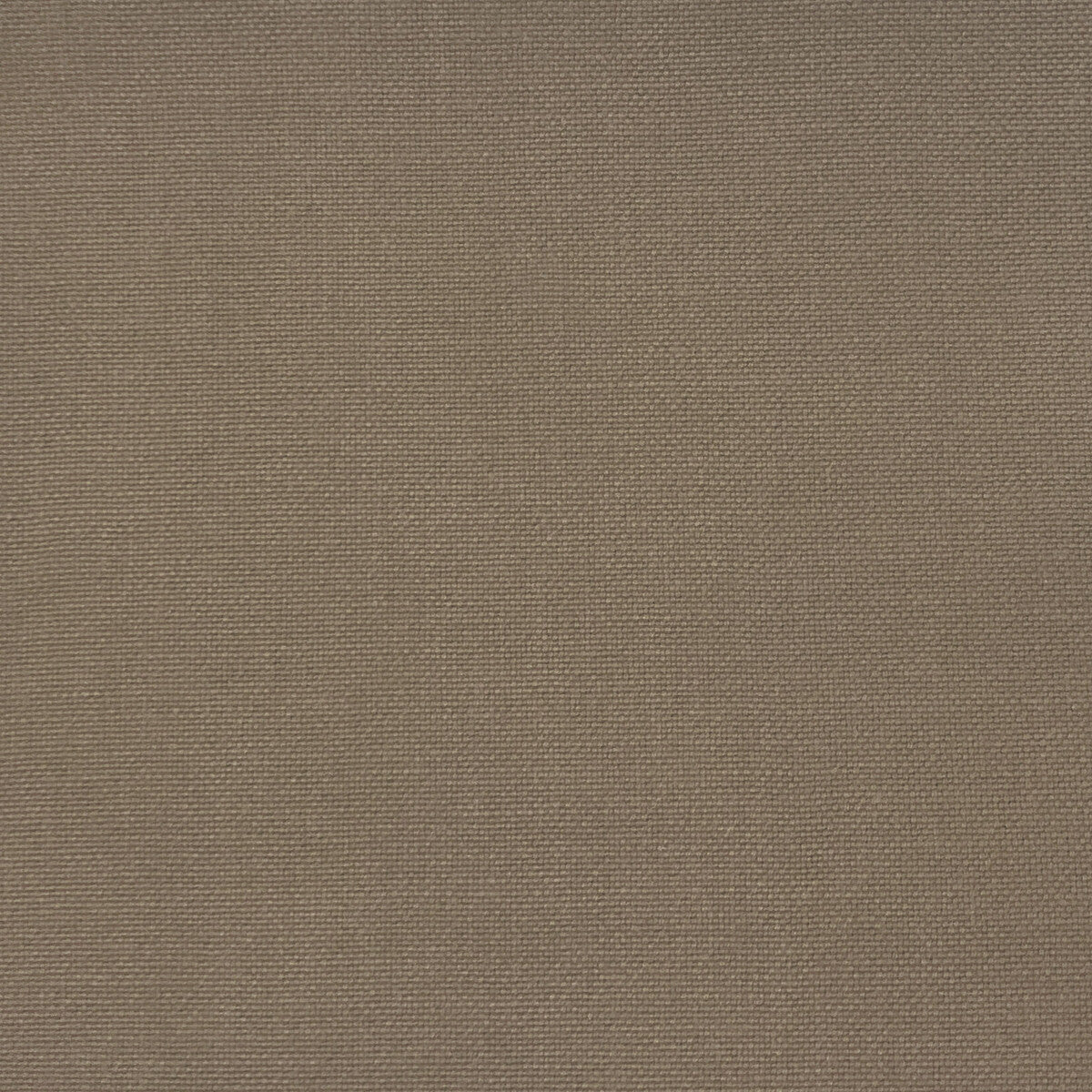 Palma fabric in duna color - pattern GDT5688.035.0 - by Gaston y Daniela in the Gaston Maiorica collection