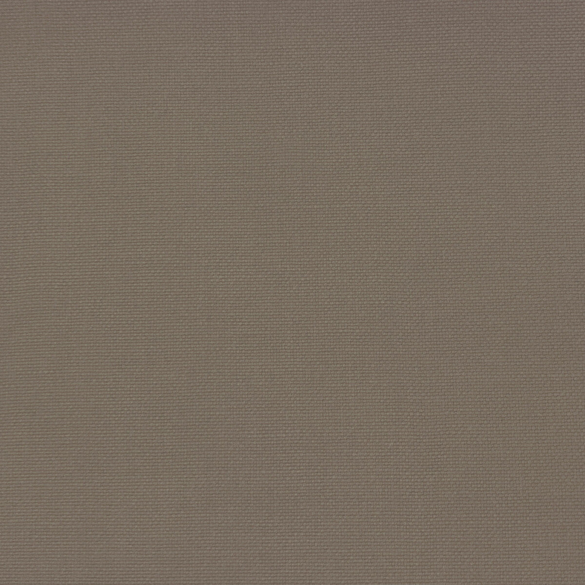 Palma fabric in carton color - pattern GDT5688.036.0 - by Gaston y Daniela in the Gaston Maiorica collection