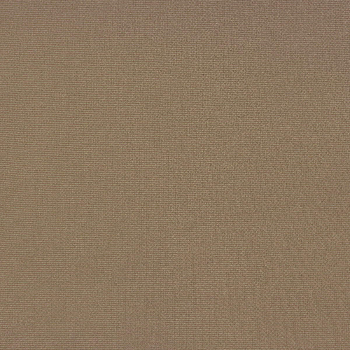 Palma fabric in moka color - pattern GDT5688.037.0 - by Gaston y Daniela in the Gaston Maiorica collection