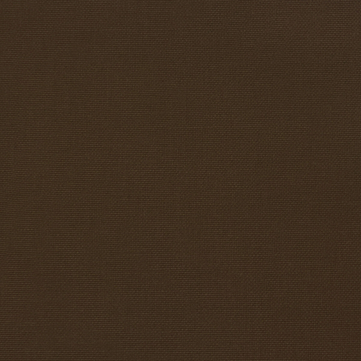 Palma fabric in marron color - pattern GDT5688.039.0 - by Gaston y Daniela in the Gaston Maiorica collection
