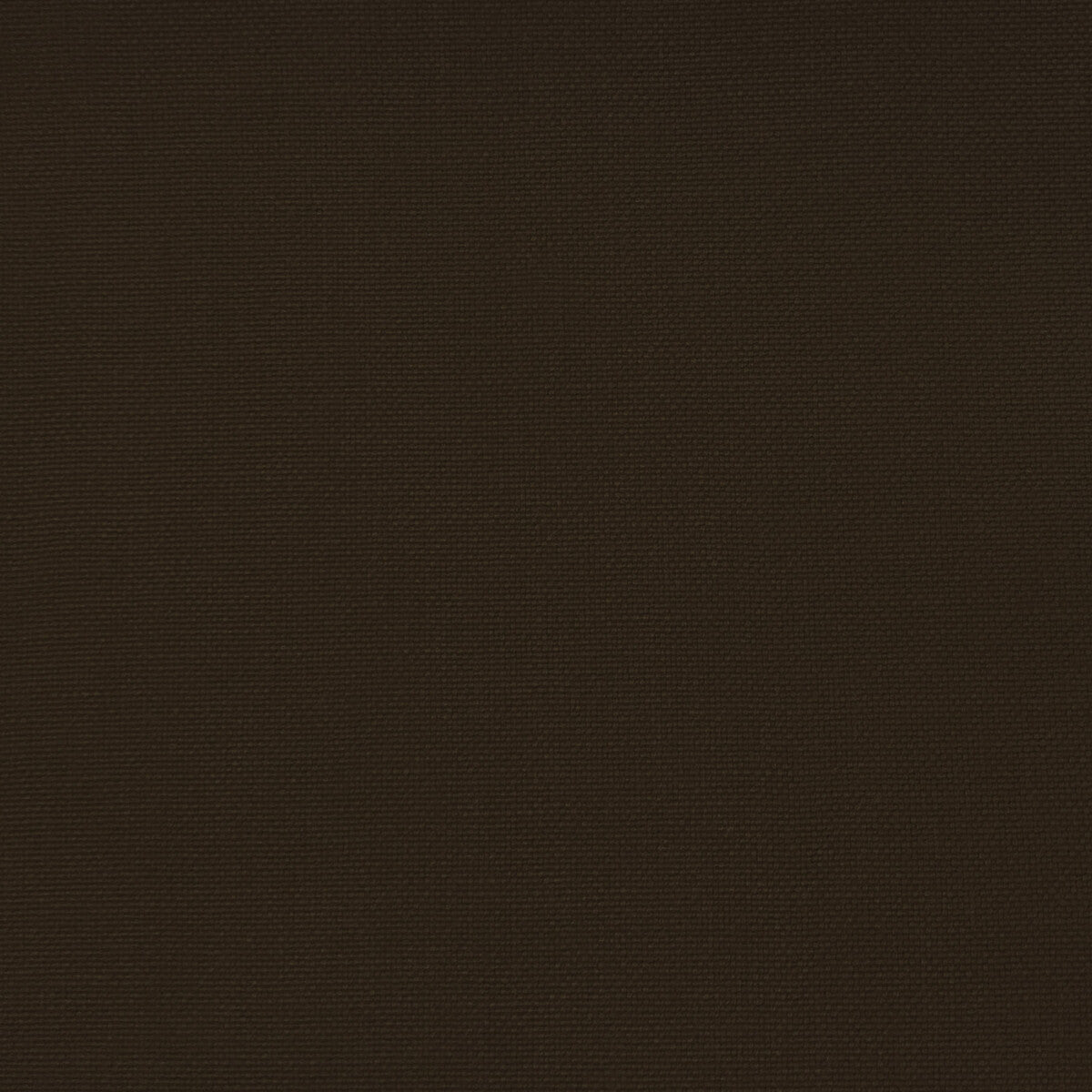 Palma fabric in chocolate color - pattern GDT5688.042.0 - by Gaston y Daniela in the Gaston Maiorica collection