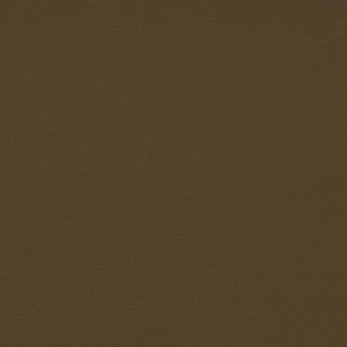 Palma fabric in verde caza color - pattern GDT5688.044.0 - by Gaston y Daniela in the Gaston Maiorica collection