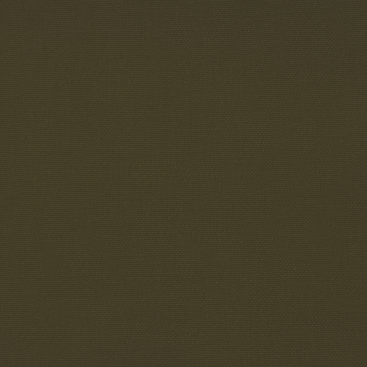 Palma fabric in verde musgo color - pattern GDT5688.045.0 - by Gaston y Daniela in the Gaston Maiorica collection