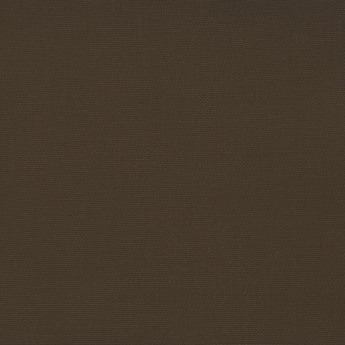 Palma fabric in acacia color - pattern GDT5688.046.0 - by Gaston y Daniela in the Gaston Maiorica collection