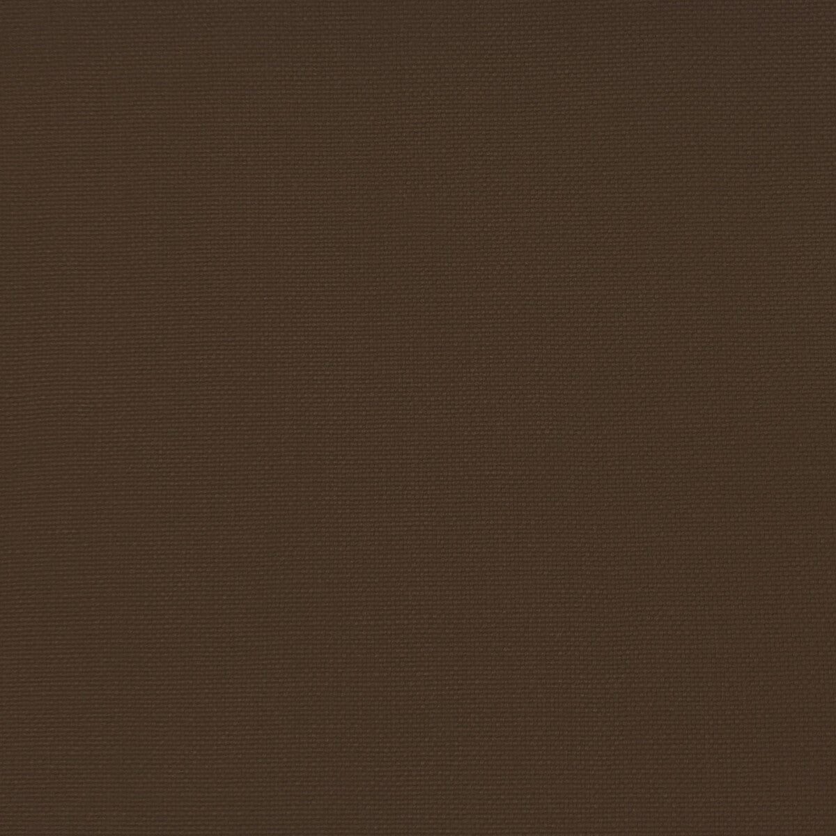 Palma fabric in cacao color - pattern GDT5688.048.0 - by Gaston y Daniela in the Gaston Maiorica collection