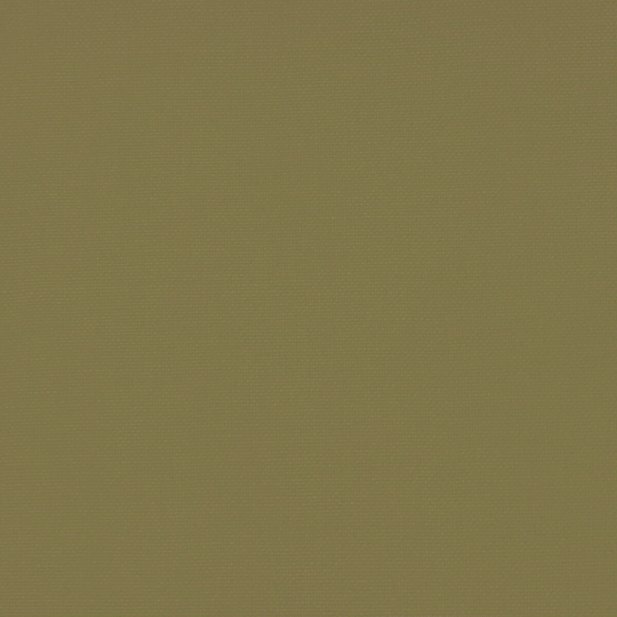 Palma fabric in pistacho color - pattern GDT5688.052.0 - by Gaston y Daniela in the Gaston Maiorica collection