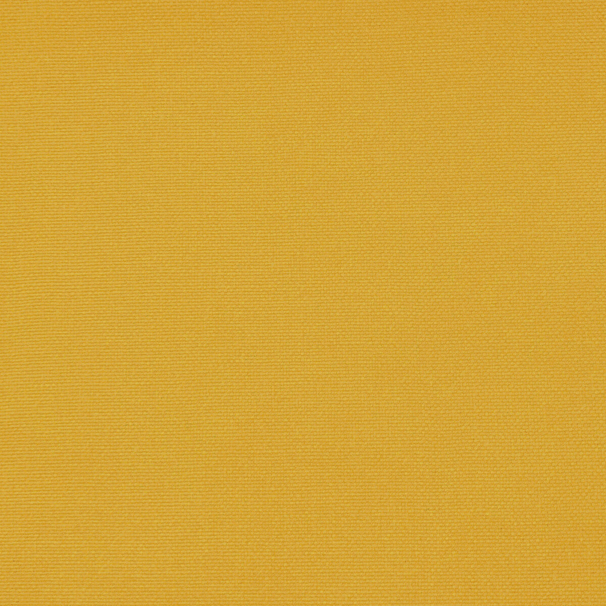 Palma fabric in limon color - pattern GDT5688.056.0 - by Gaston y Daniela in the Gaston Maiorica collection
