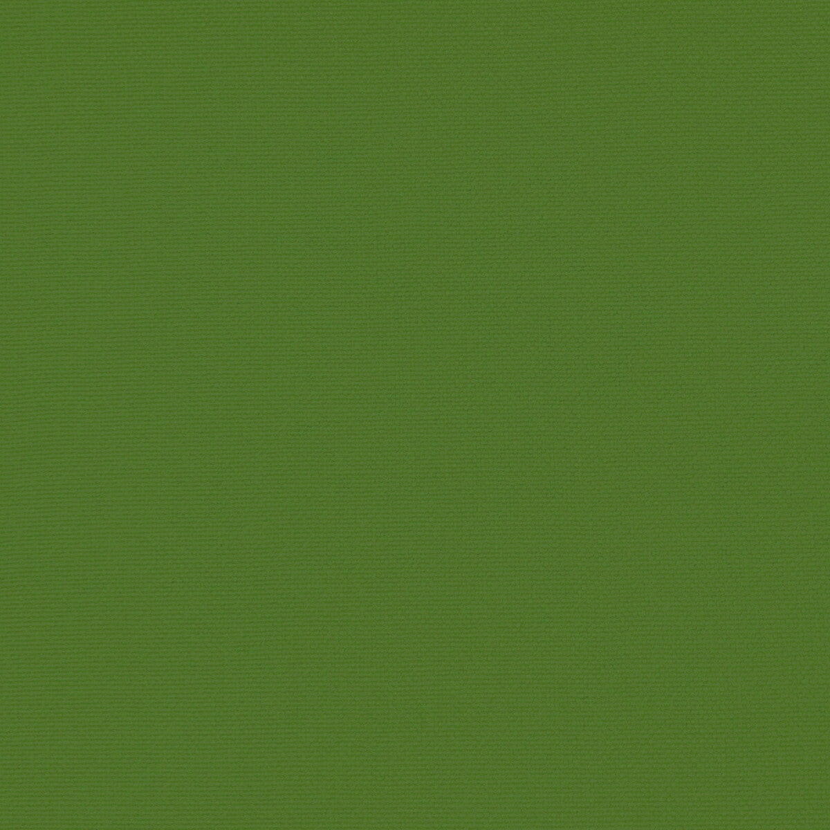 Palma fabric in verde menta color - pattern GDT5688.057.0 - by Gaston y Daniela in the Gaston Maiorica collection