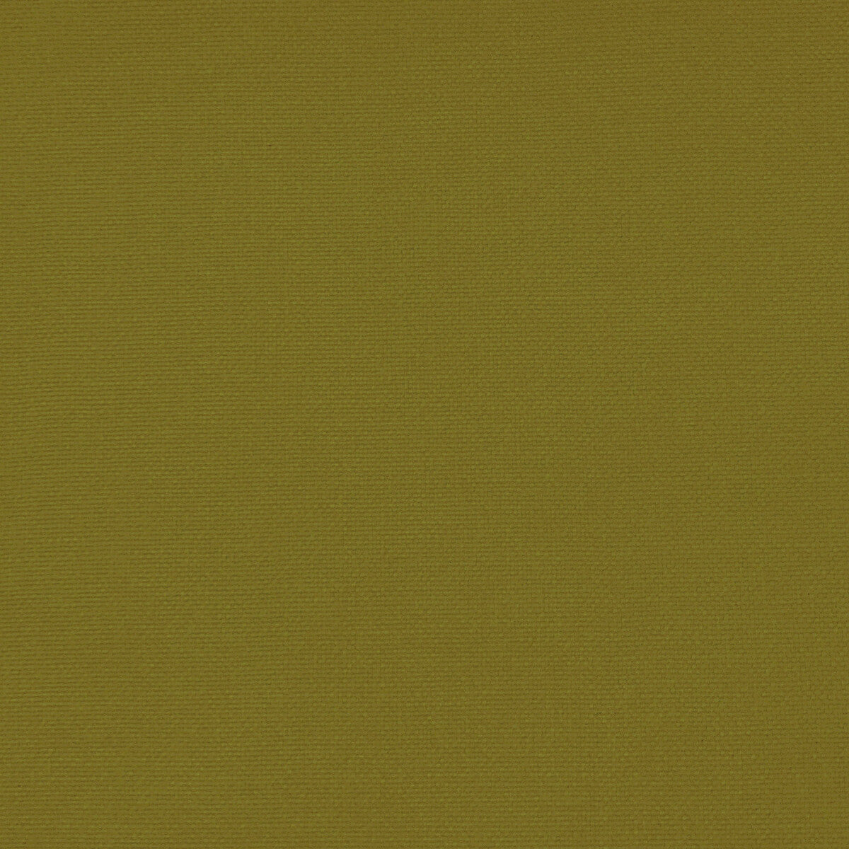Palma fabric in lima color - pattern GDT5688.058.0 - by Gaston y Daniela in the Gaston Maiorica collection