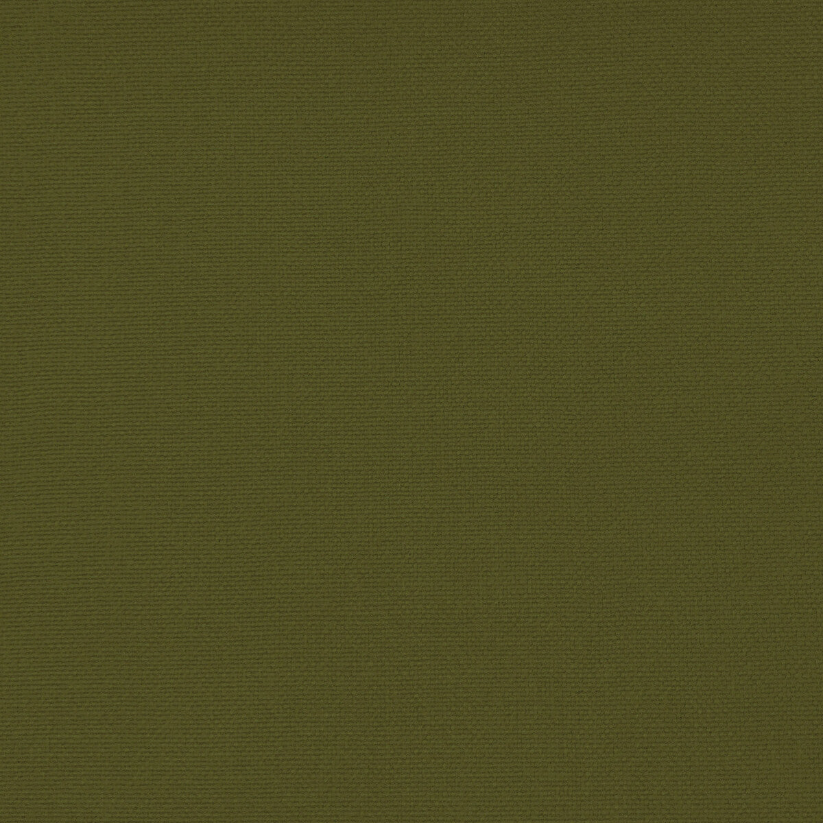Palma fabric in verde color - pattern GDT5688.059.0 - by Gaston y Daniela in the Gaston Maiorica collection