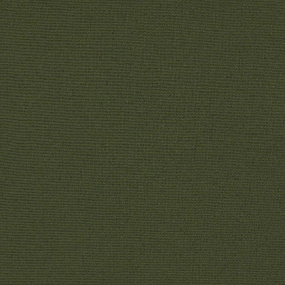 Palma fabric in eucalipto color - pattern GDT5688.060.0 - by Gaston y Daniela in the Gaston Maiorica collection