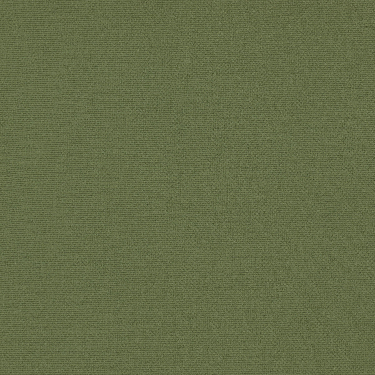 Palma fabric in verde agua color - pattern GDT5688.062.0 - by Gaston y Daniela in the Gaston Maiorica collection